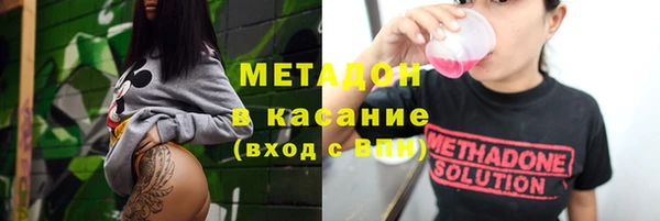 прущие грибы Алексеевка