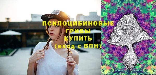 не бодяженный Алзамай