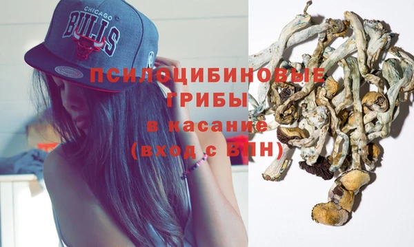 прущие грибы Алексеевка