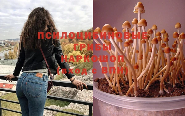 не бодяженный Алзамай